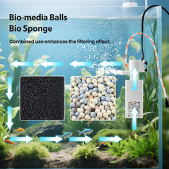 QiQiWader dual filtration with bio sponge and media balls promotes clear water.