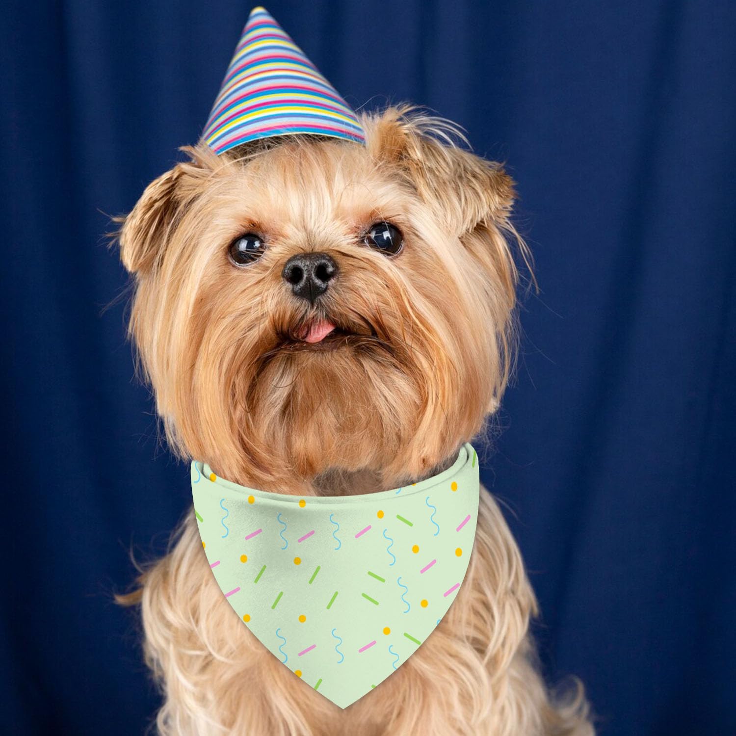 QIRUIMI party-ready dog bandanas in a display setup.