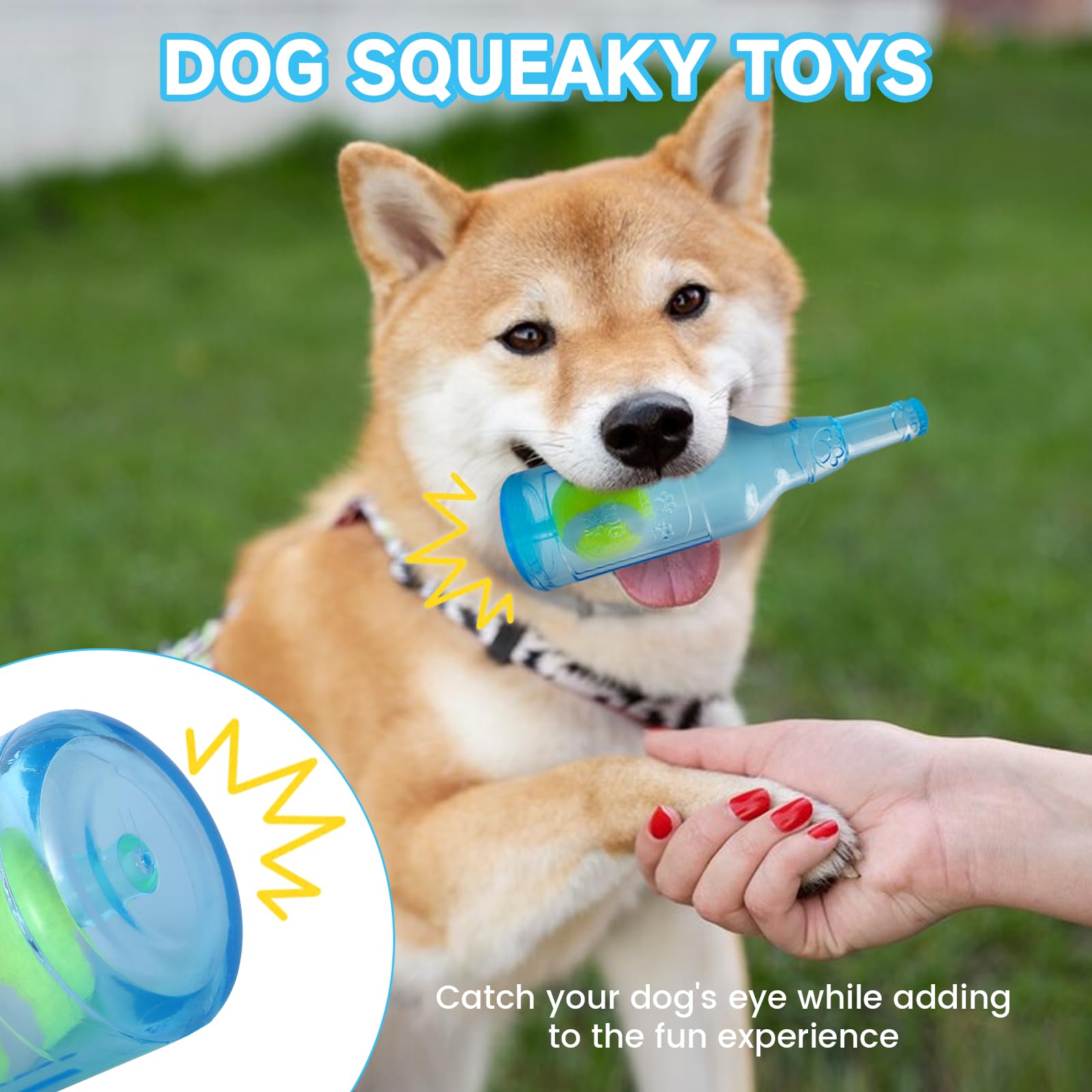 Qiuruoo Water Bottle Dog Toy in interactive play mode for chasing