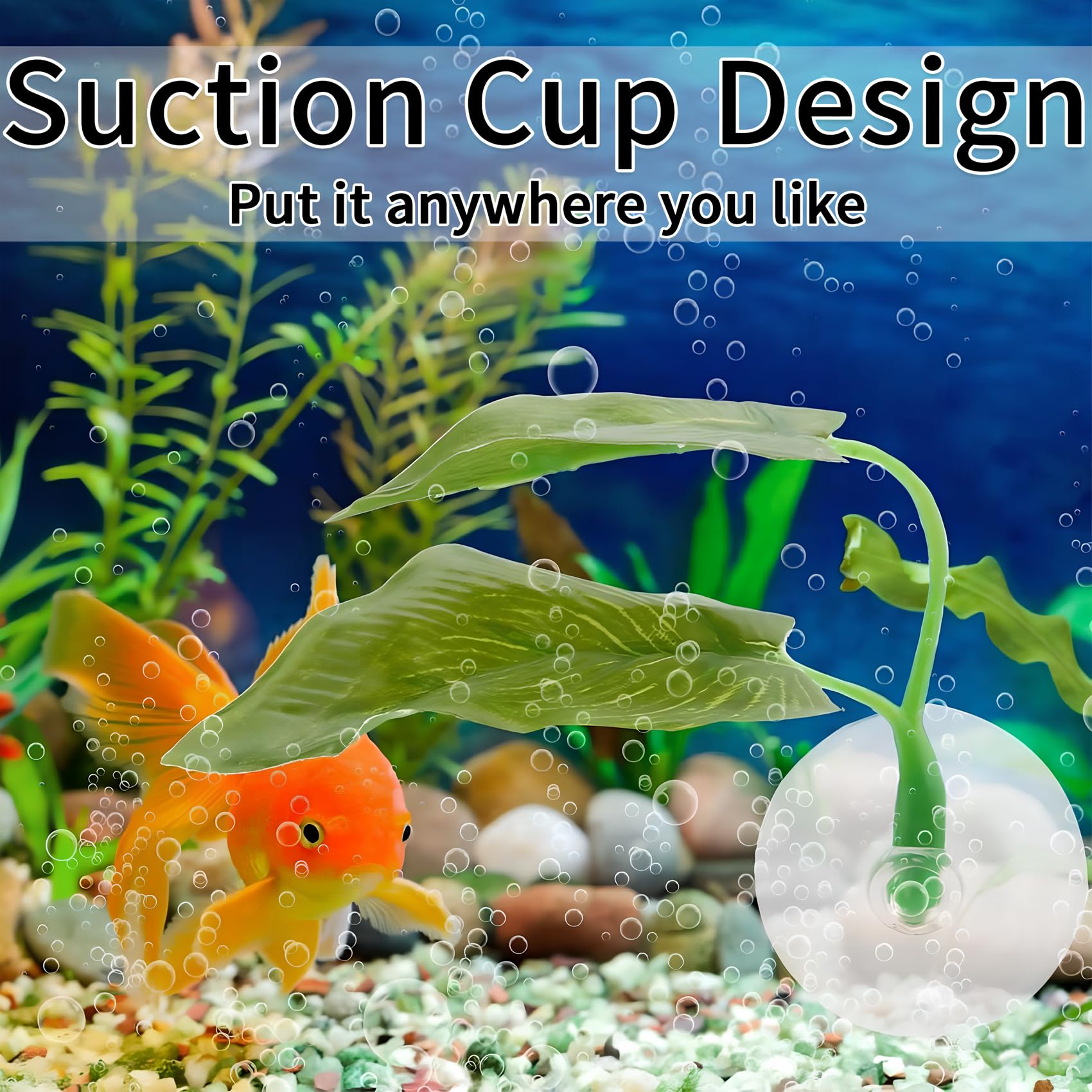 Qivorimith Beta Fish Leaf Hammock breeding setup suggests a calm space for interactions.