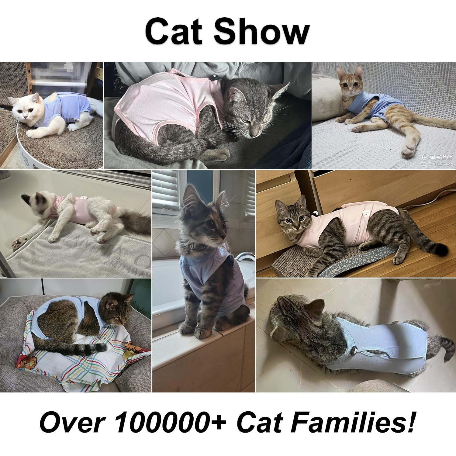 Qiyadin cat recovery suit in-use during gentle activity demonstrating freedom.