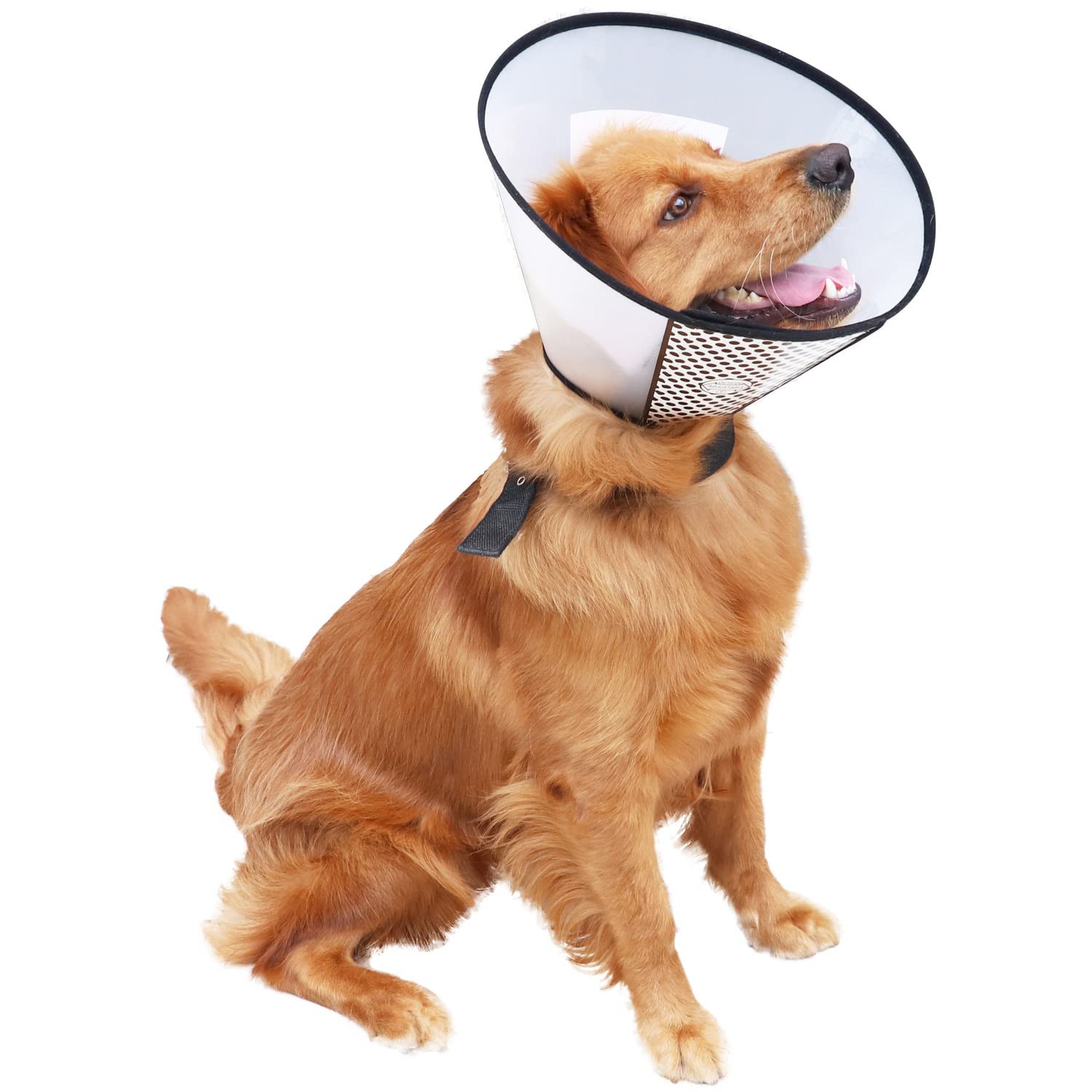QIYADIN durable recovery cone withstands scratching for long-term reuse.
