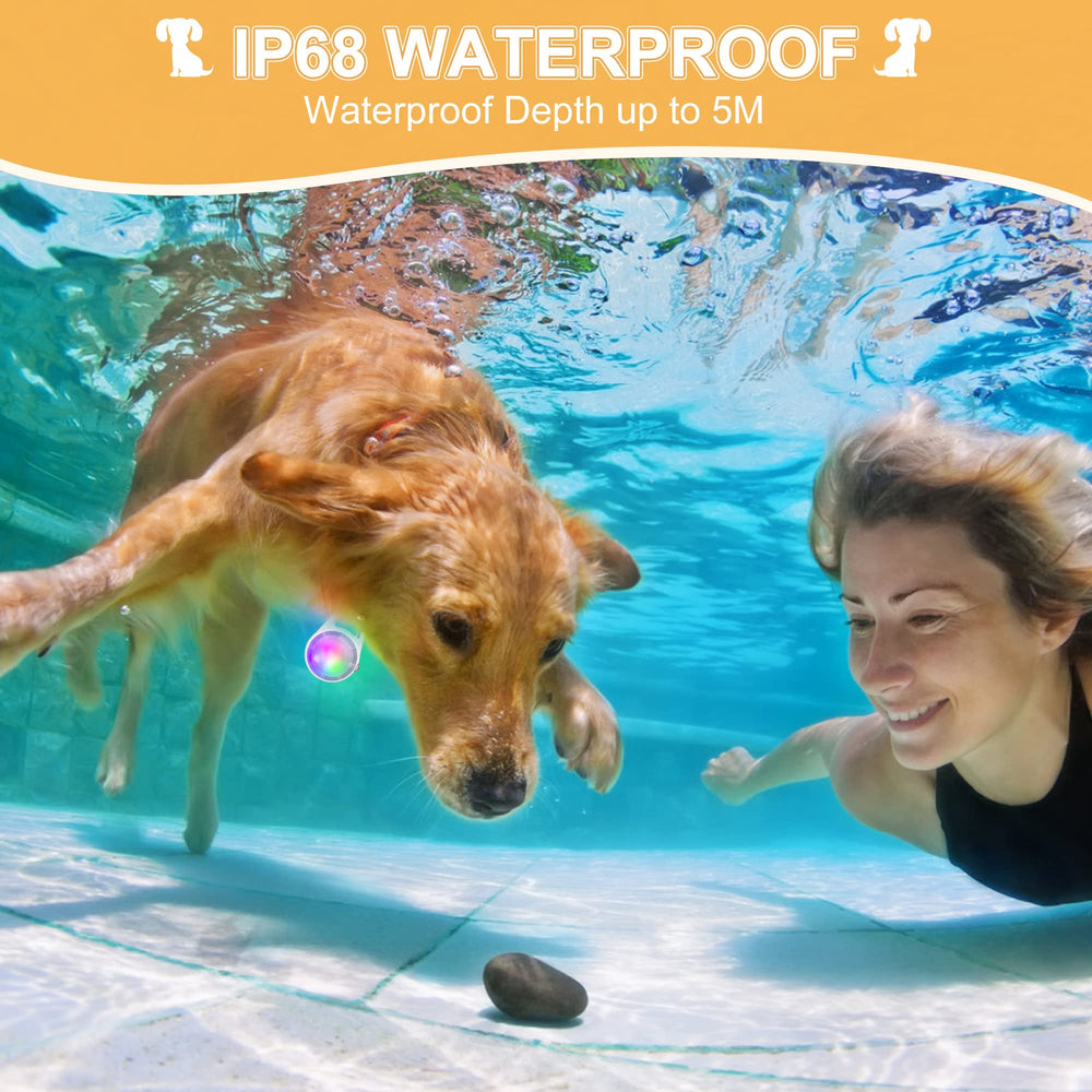 QIZIYARDALL dog collar light offers four modes for signaling and safety.