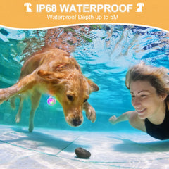 QIZIYARDALL dog collar light offers four modes for signaling and safety.