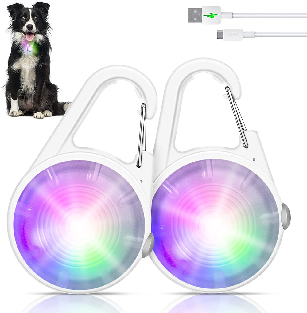 QIZIYARDALL dog collar light with 7 LEDs for bright night visibility on walks.
