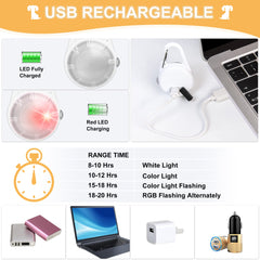 QIZIYARDALL rechargeable dog light with long battery life for night adventures.
