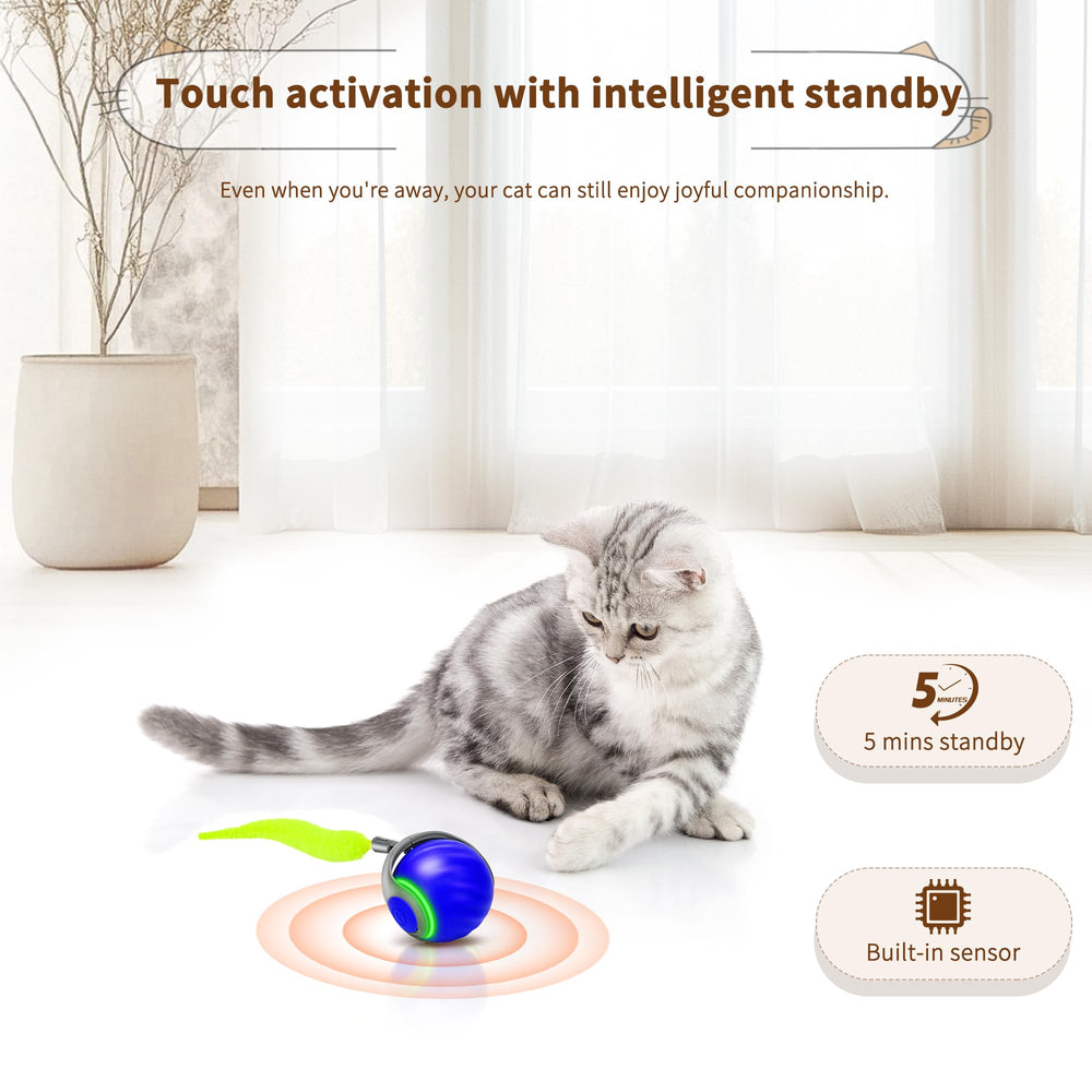 QKOQKO blue wave-ball avoids obstacles, ensuring uninterrupted play on carpets.