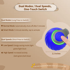 QKOQKO blue low-speed setting creates gentle engagements for kittens and calm play sessions.