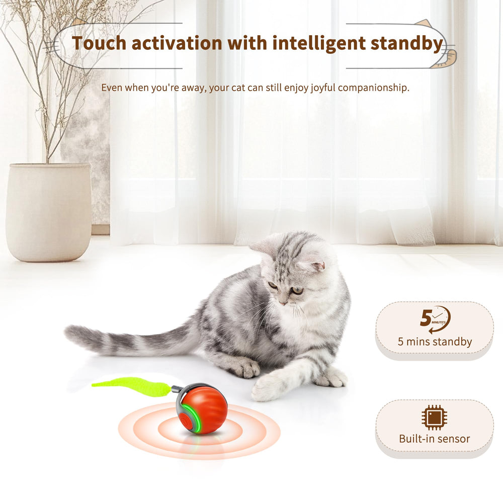 QKOQKO Cat Toy wave texture design increases movement randomness for curious cats