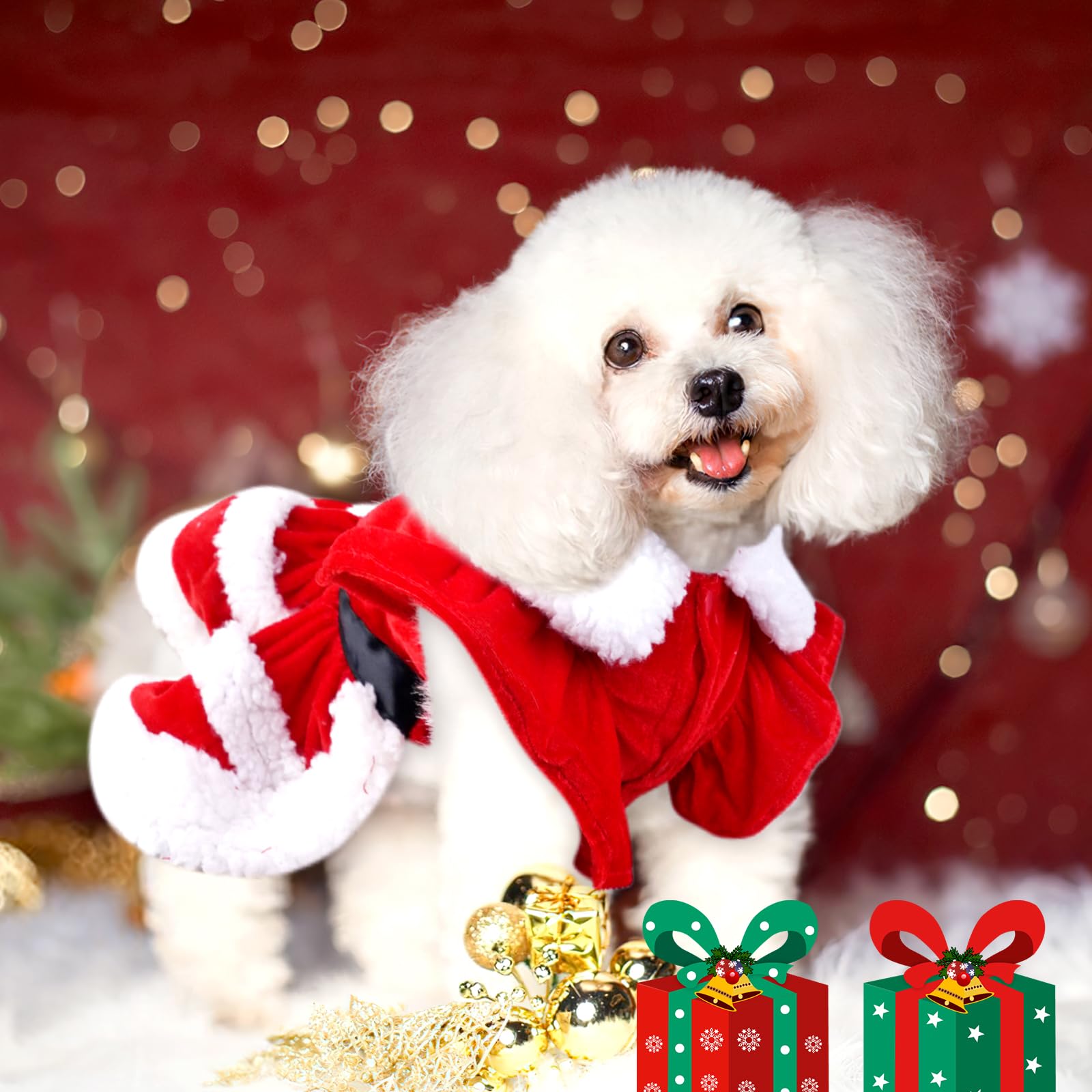 QKURT Santa dog costume white fluffy collar adds Christmas charm.