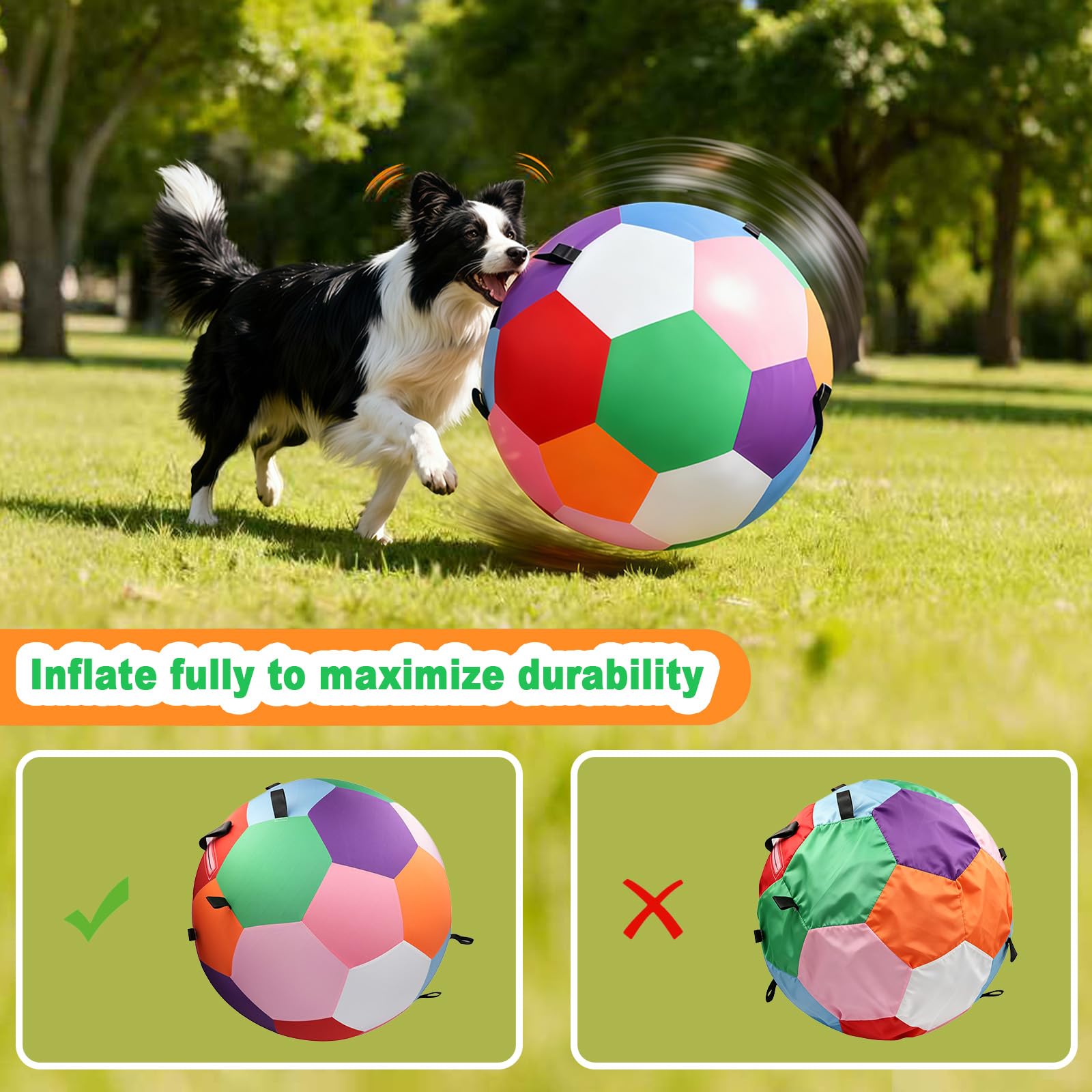 Qlfyuu Herding Ball 25-inch-large-dogs size shows ideal for Border Collies and Shepherds.