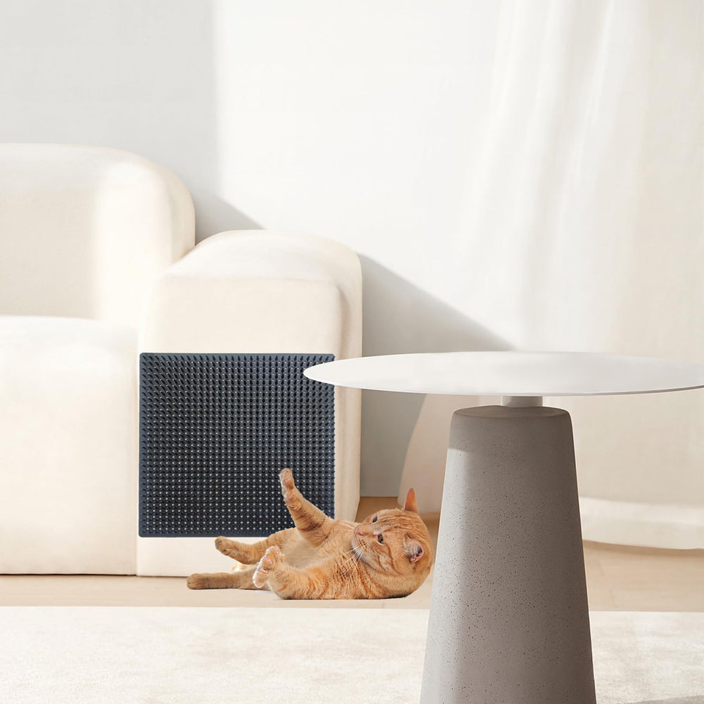 QoTang wall-mount option suits compact spaces