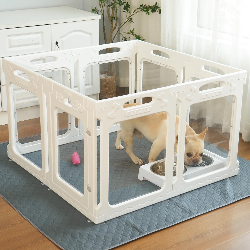 Qoility clear acrylic dog playpen with door enables tool-free assembly for small dogs.