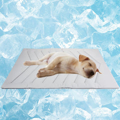 Qonimm dog cooling mat 40x28 laid out for large dogs with instant cooling.