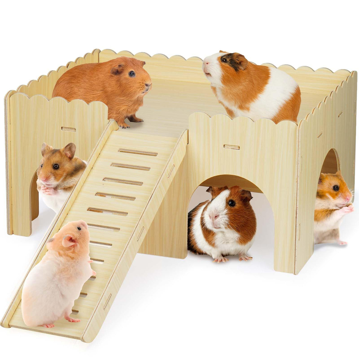 Qorviana large guinea pig hideout front view shows sturdy wood for safe play.