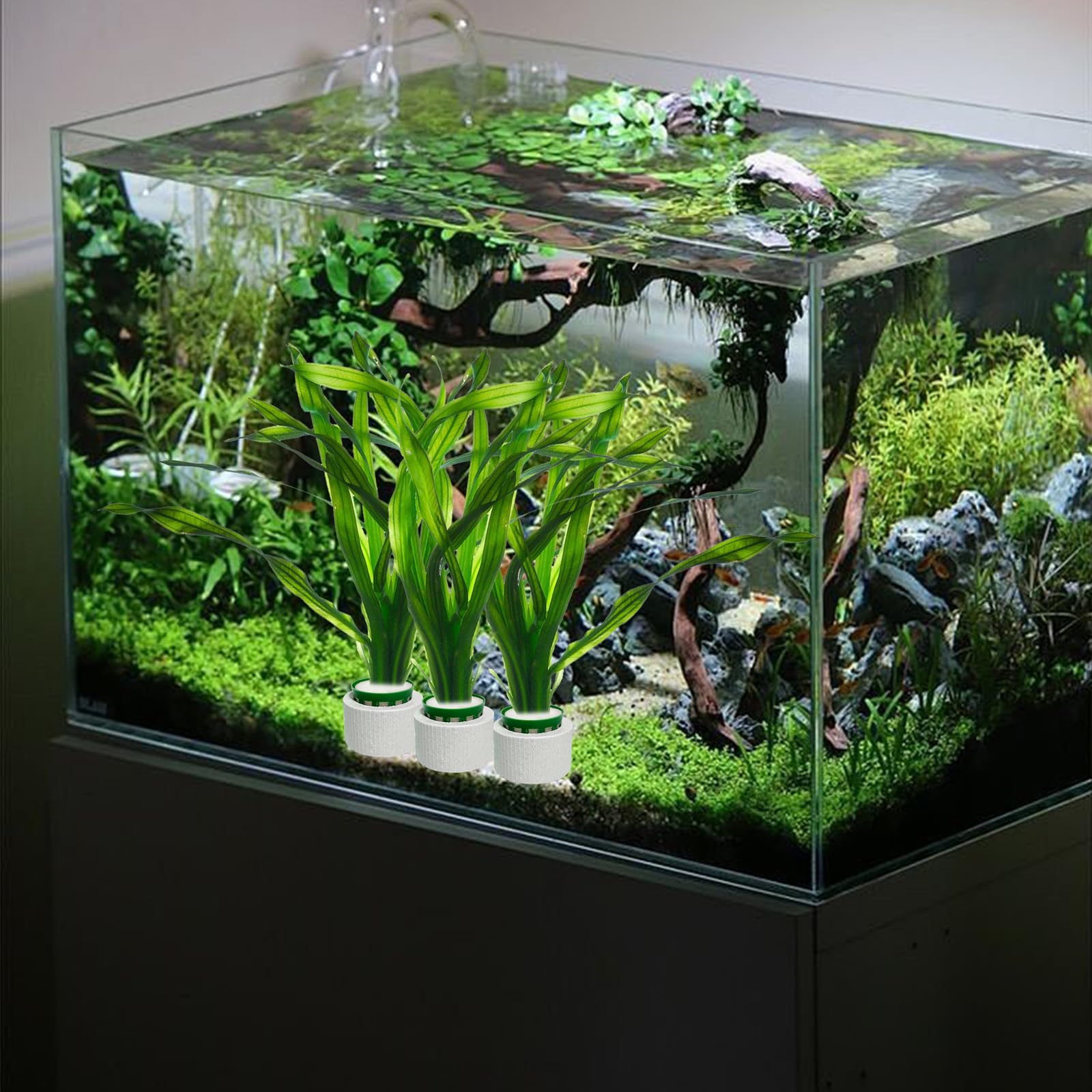 QoTang decor enhancement helps beautify tanks without sand or mud using plant rings.
