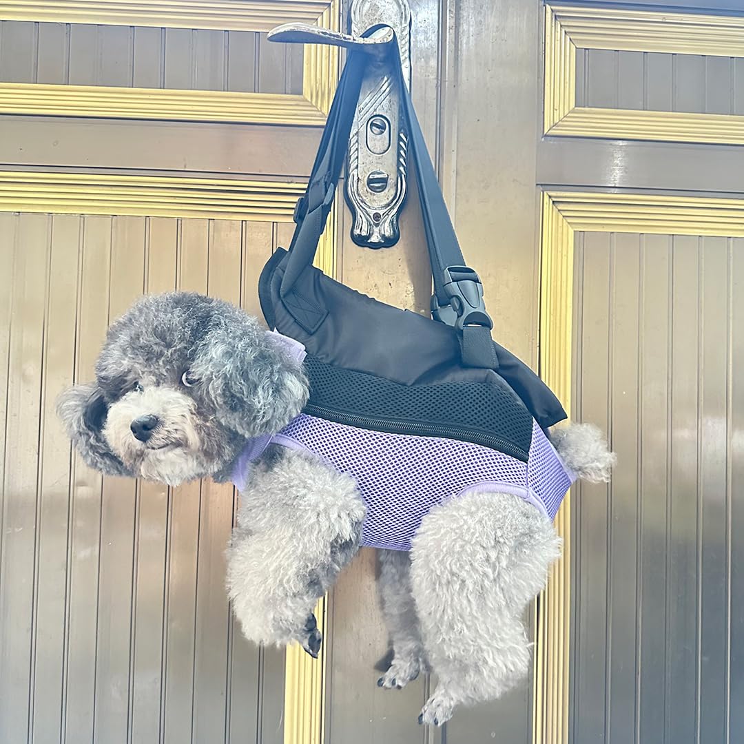 QQLe pet carrier backpack in purple design adds stylish outdoor appeal.