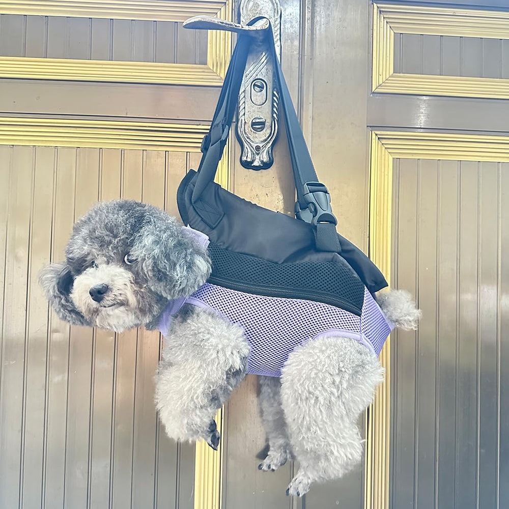 QQLe pet carrier backpack in purple design adds stylish outdoor appeal.