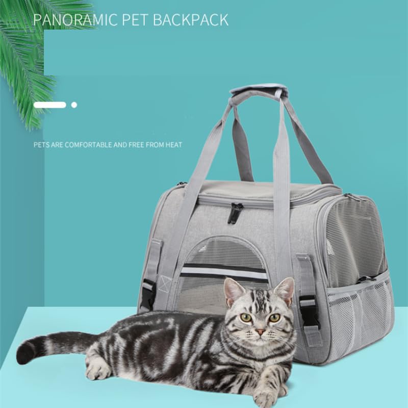 QQLe pet carrier in use shows a calm, comfortable travel setup.