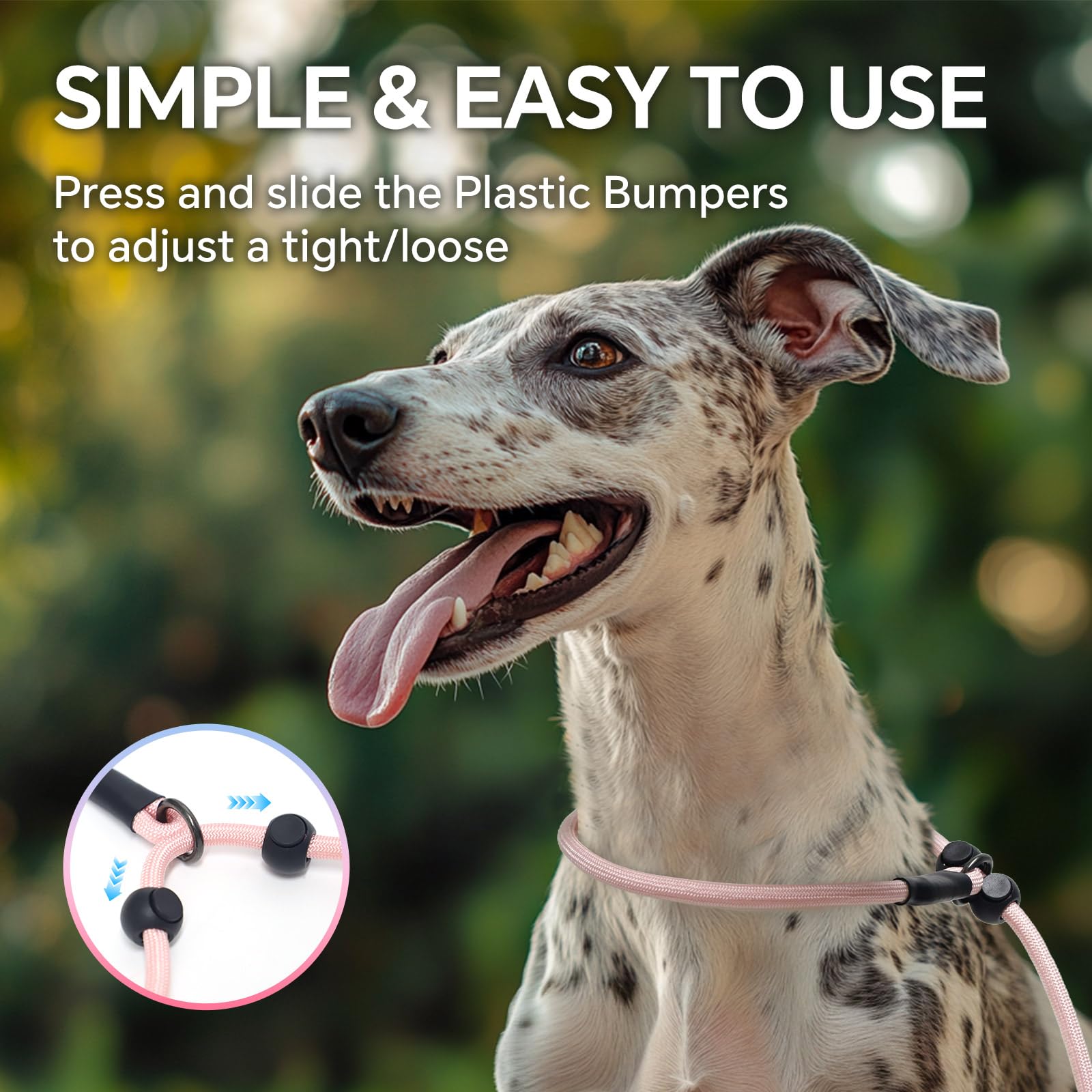 QQPETS-360-swivel-anti-tangle image demonstrates tangle-free training sessions.