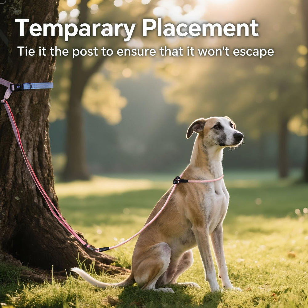 QQPETS-all-breeds-dog-leash suitable for any dog size.
