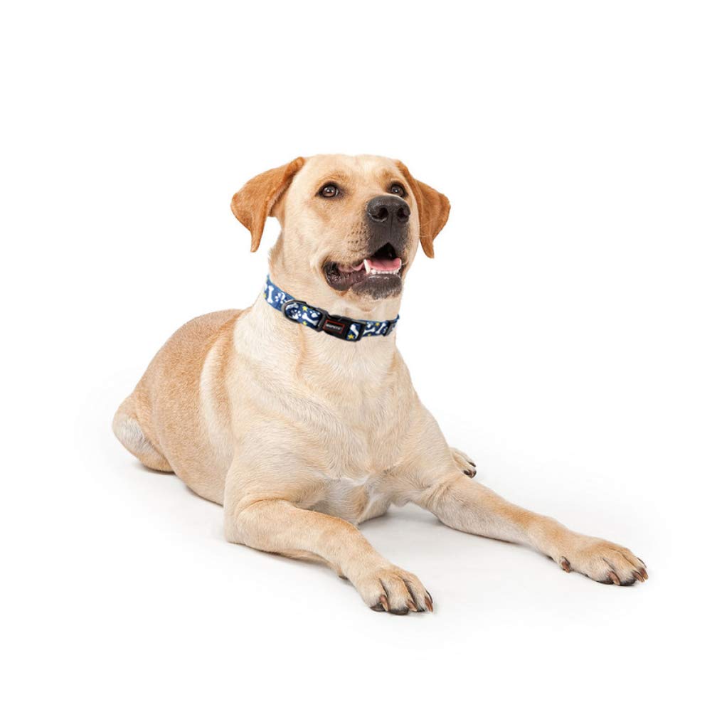 QQPETS curved-buckle collar prioritizes comfortable, secure fit.