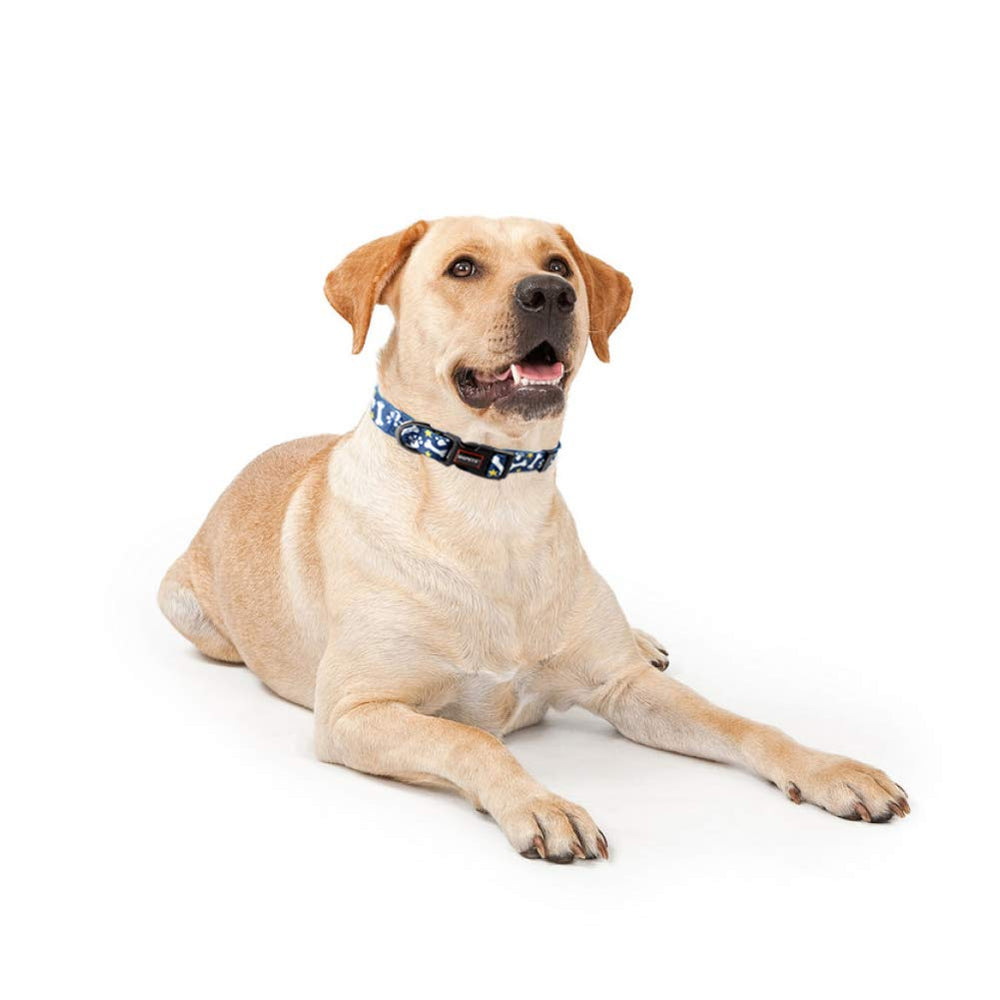 QQPETS curved-buckle collar prioritizes comfortable, secure fit.