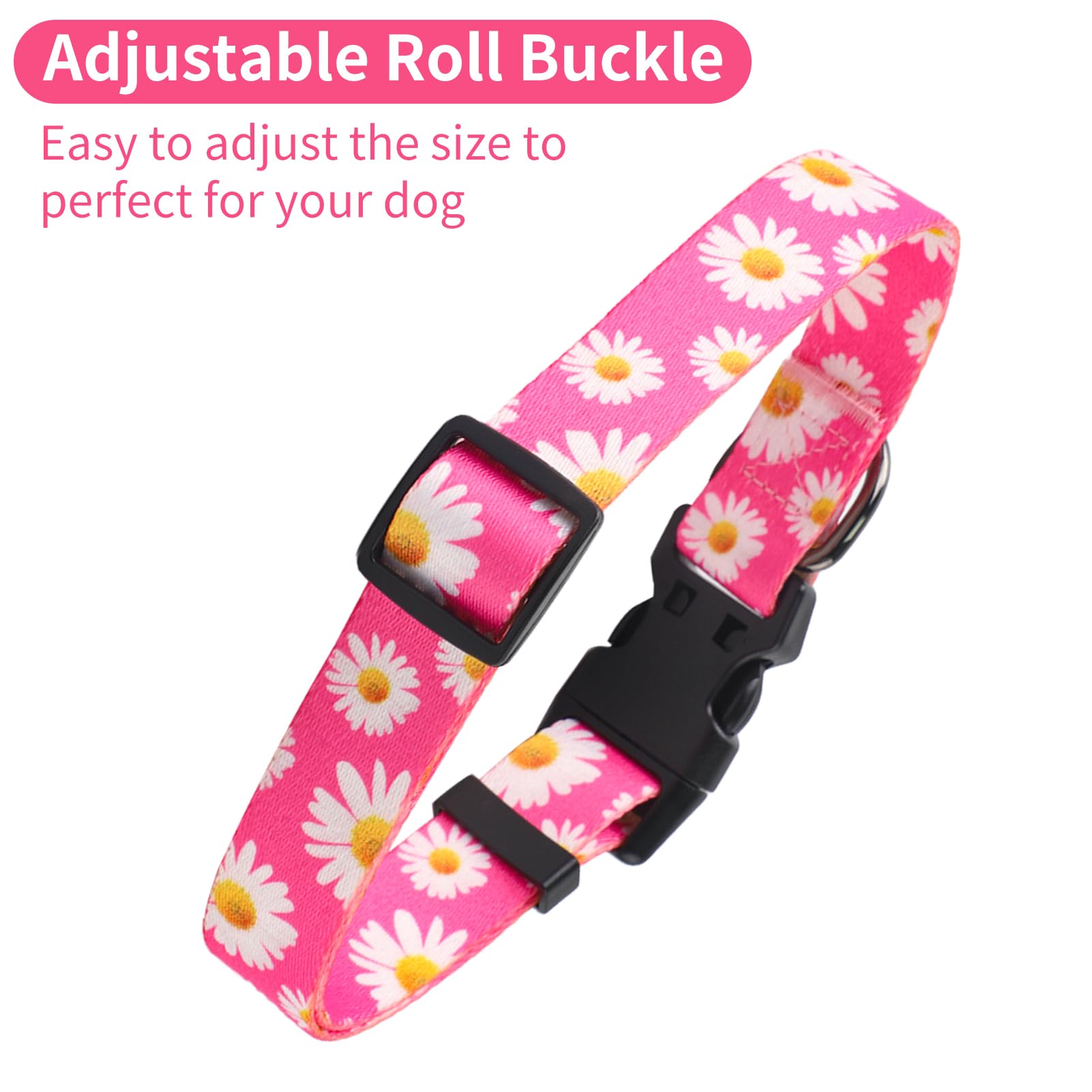 QQPETS dog-collar-d-ring-rustproof zinc-alloy construction ensures secure leash attachment