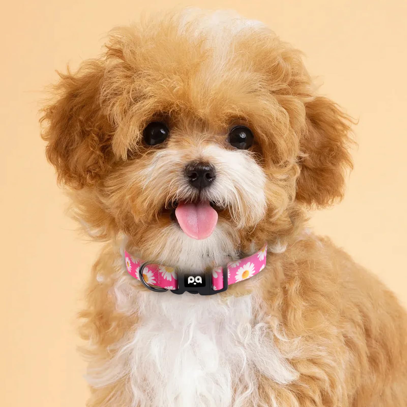 QQPETS plastic clip closure collar offers easy on off for busy mornings