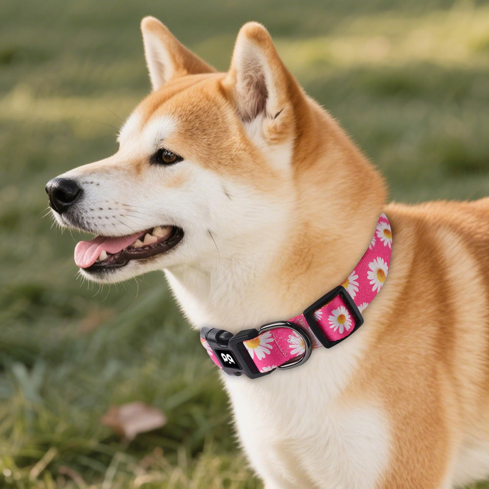 QQPETS polyester soft material collar provides gentle touch on the neck