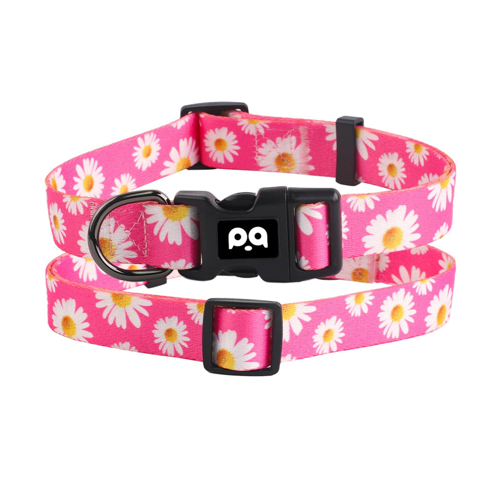 QQPETS size adjustable range fits XS to Large dogs for versatile use