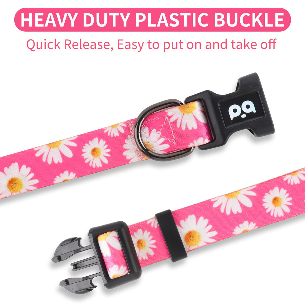 QQPETS adjustable-dog-collar-strap closeup highlights easy adjustability and comfy fit