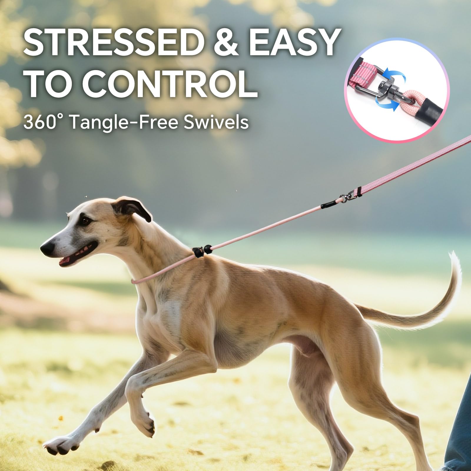 QQPETS-dog-leash-adjustable-length-4-to-7-feet for customizable length.