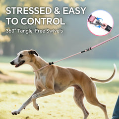 QQPETS-dog-leash-adjustable-length-4-to-7-feet for customizable length.