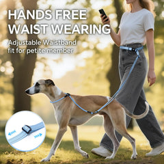 QQPETS, manos libres para caminar, permite mayor libertad durante salidas con tu perro.