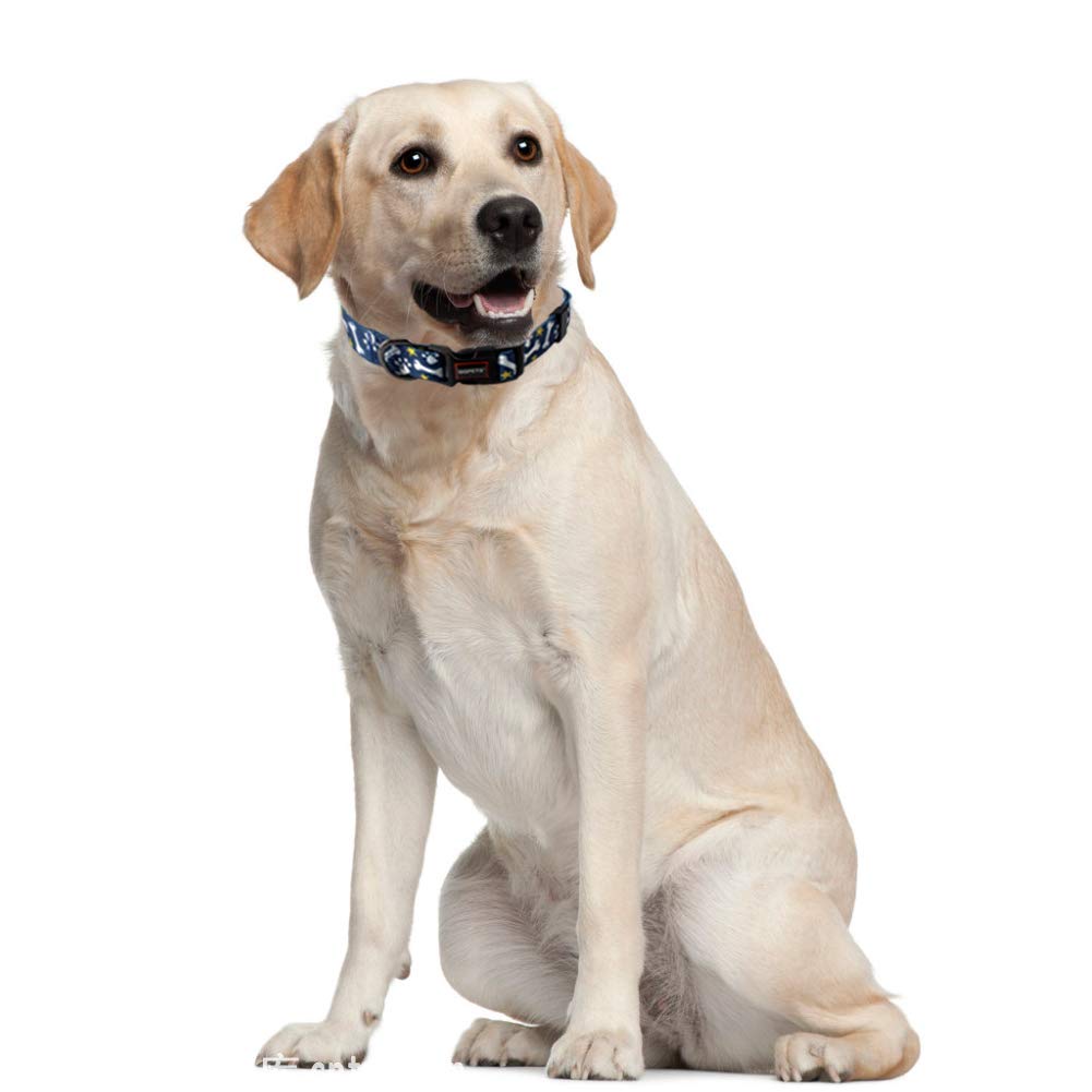 QQPETS size guide helps you pick the correct neck measurement.