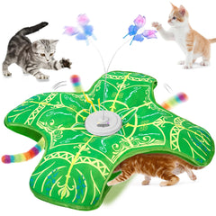Qraxond interactive cat toy front view boosts curiosity and quick play sessions