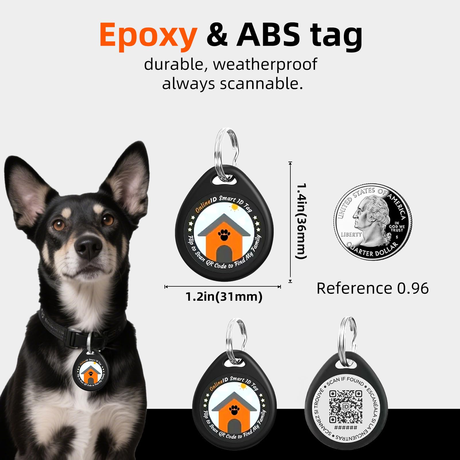 QRTAGLAB dog tag with QR code for quick scans.