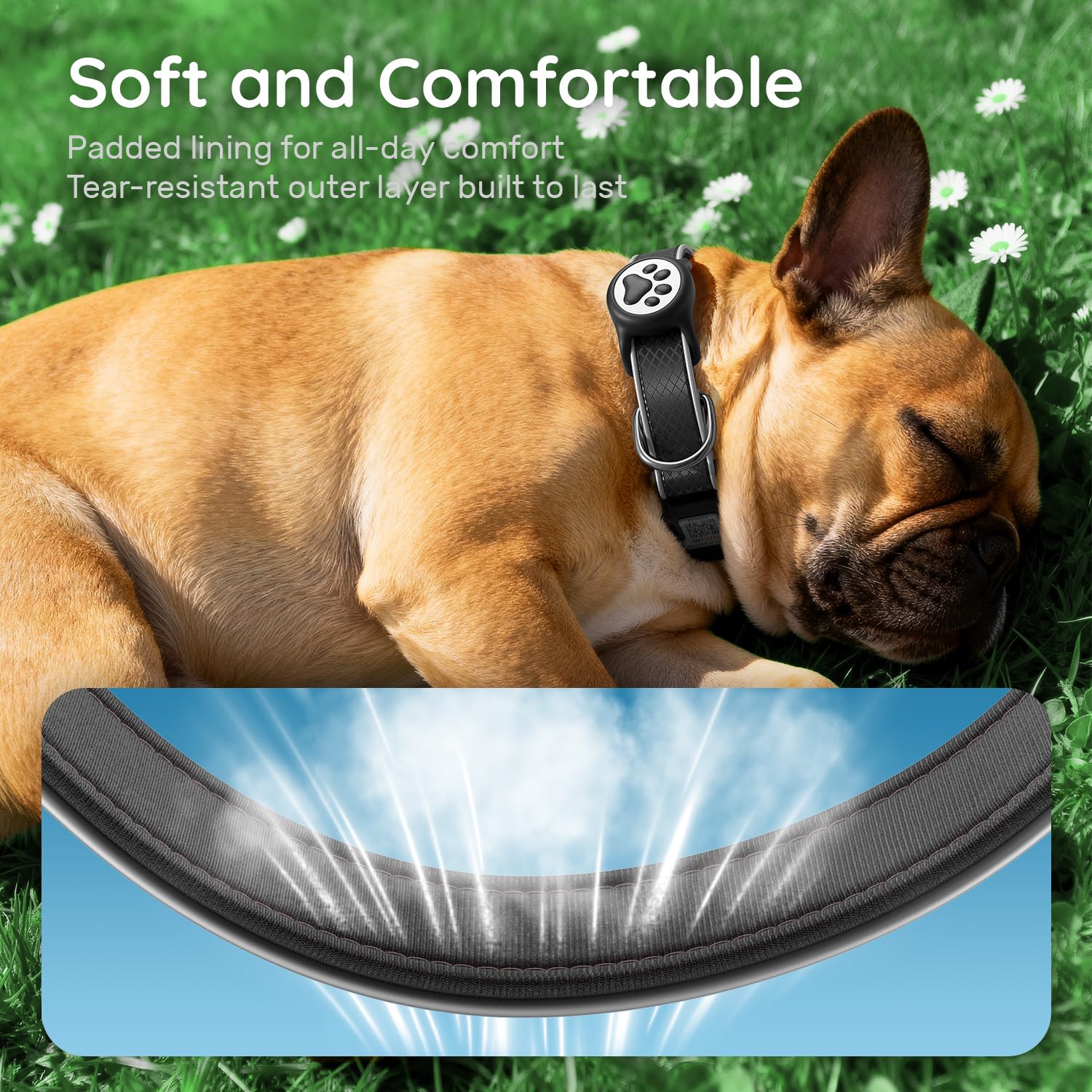 QRTAGLAB durable oxford-cloth construction withstands energetic play.