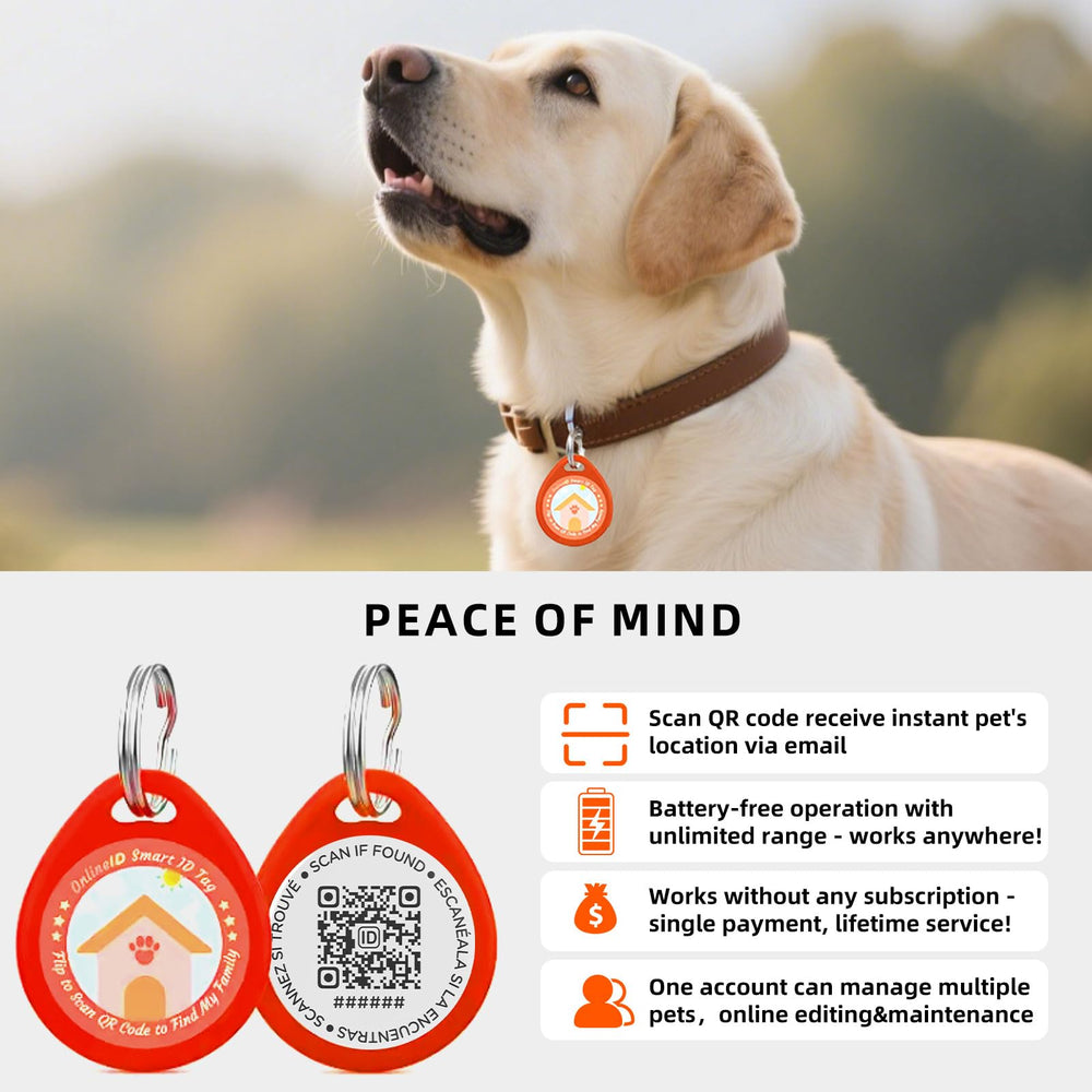 QRTAGLAB dashboard lets you manage multiple pet profiles easily.
