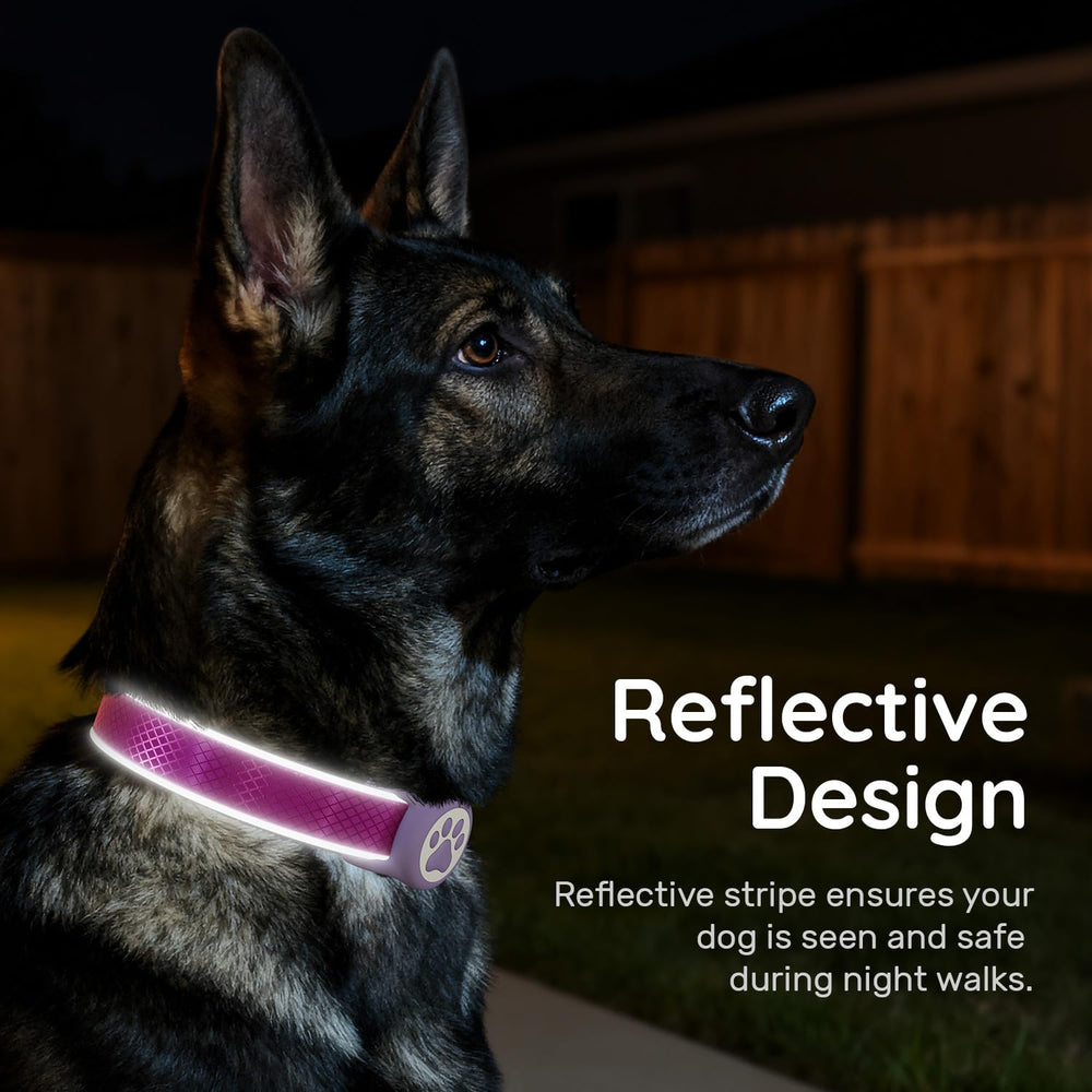 QRTAGLAB reflective strips boost nighttime visibility for safer walks.