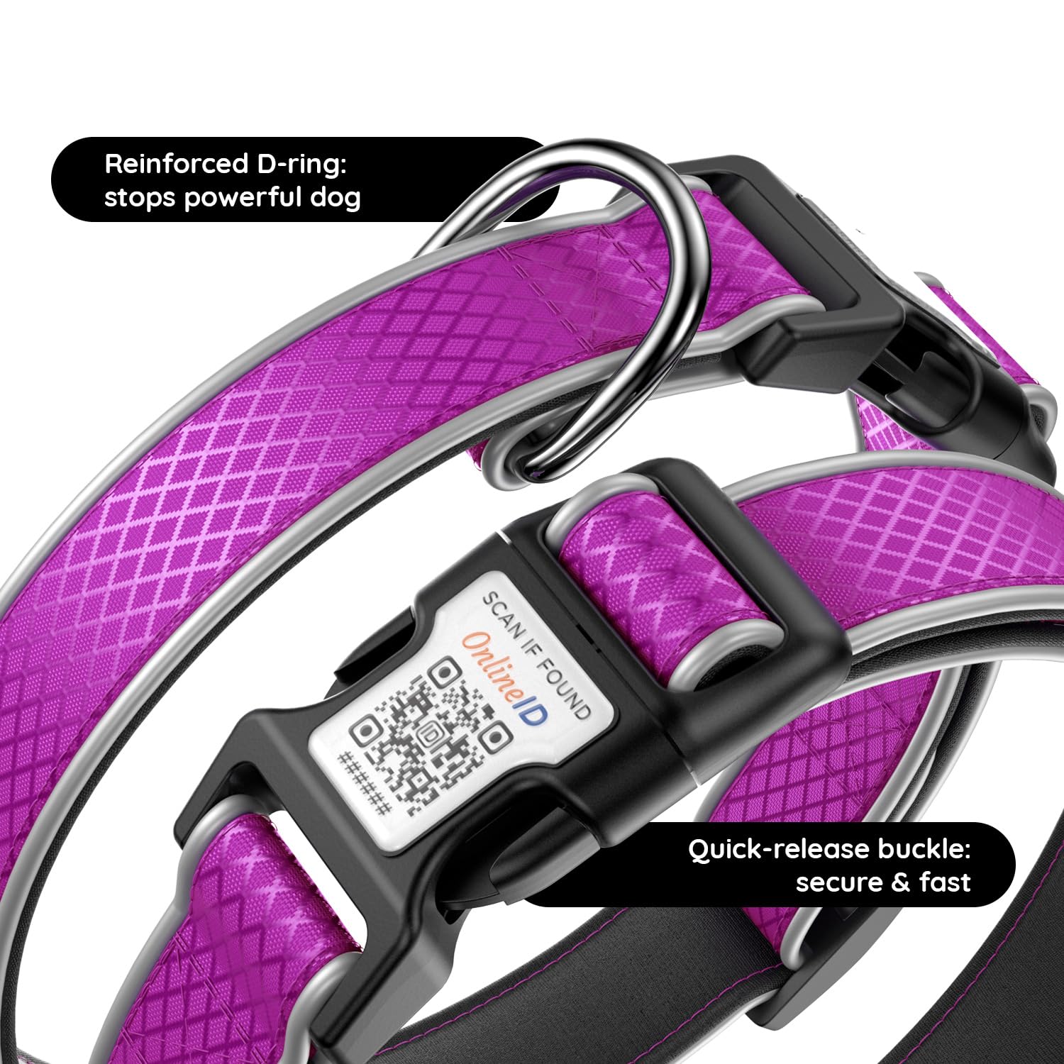 QRTAGLAB small-dogs purple S size fits 9.8-15.7 inches securely.