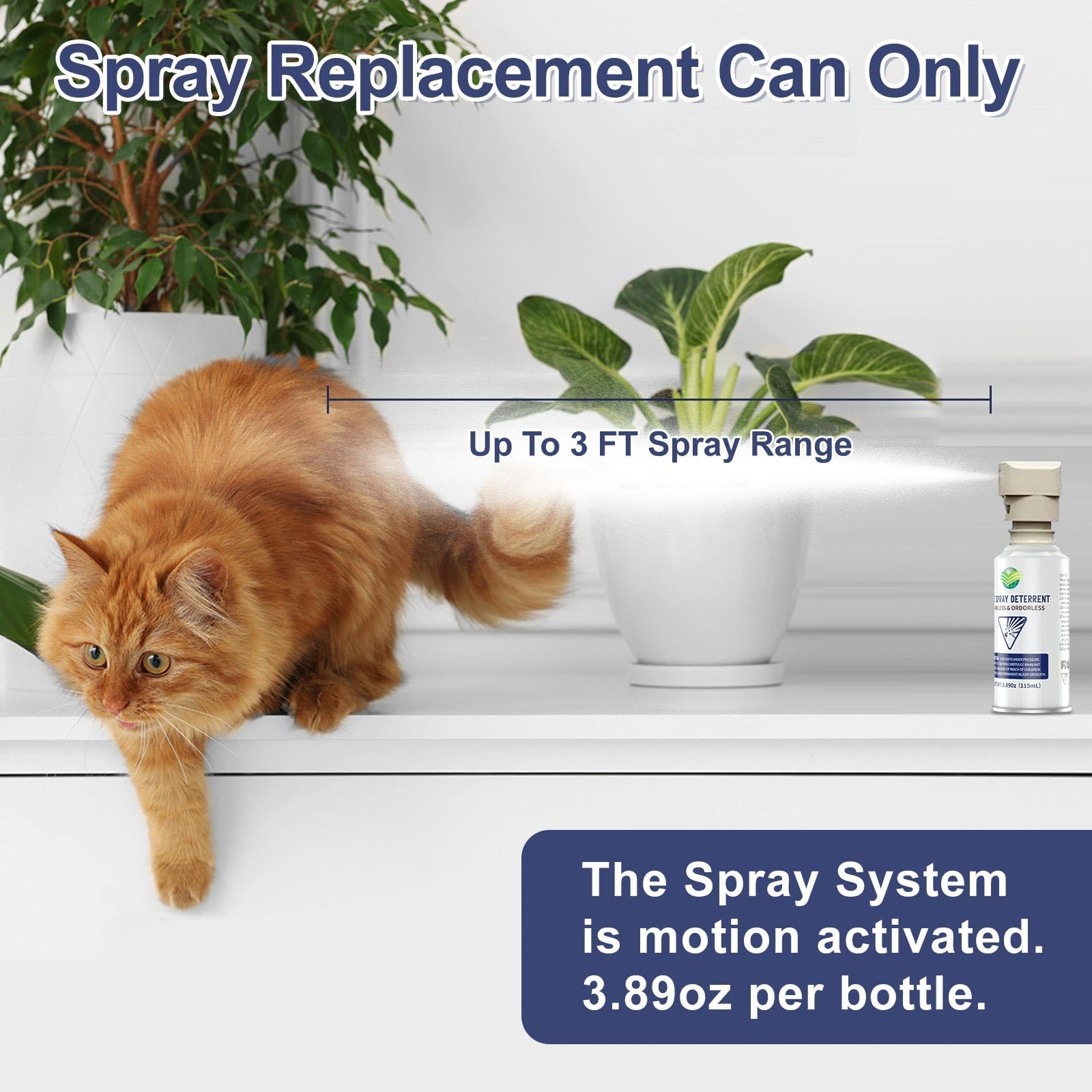 QSKUDP protect area countertop placement near trash and furniture helps reduce access