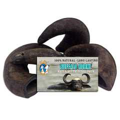 QT Dog buffalo horn chew slab demonstrates natural chewing satisfaction for small-breed dogs