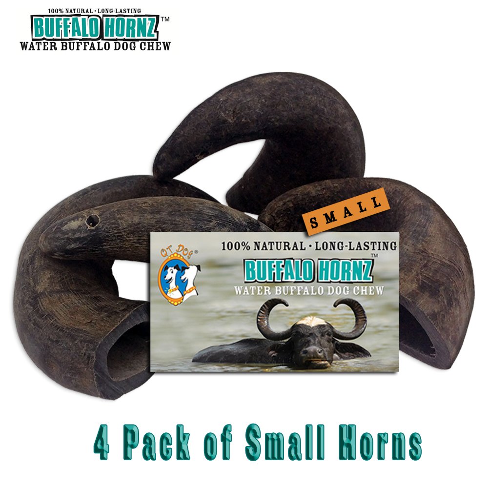 QT Dog buffalo horn dental action illustrates tartar-control enrichment for on-the-go chewers