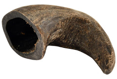 QT Dog Buffalo Hornz water buffalo horn dog treat, natural protein chew for durable dental wear