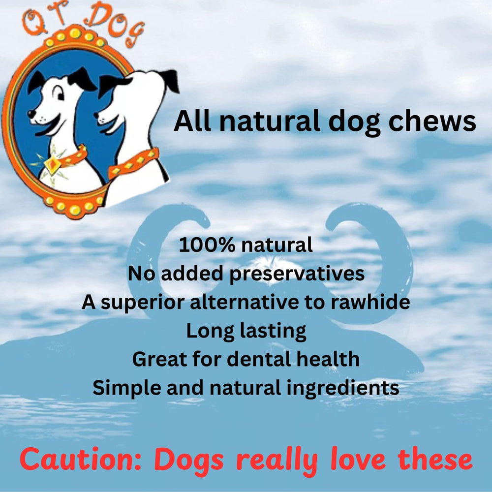 QT Dog Gobi Goat Horns no-mess shot emphasizes stain-free enjoyment from free-range goats