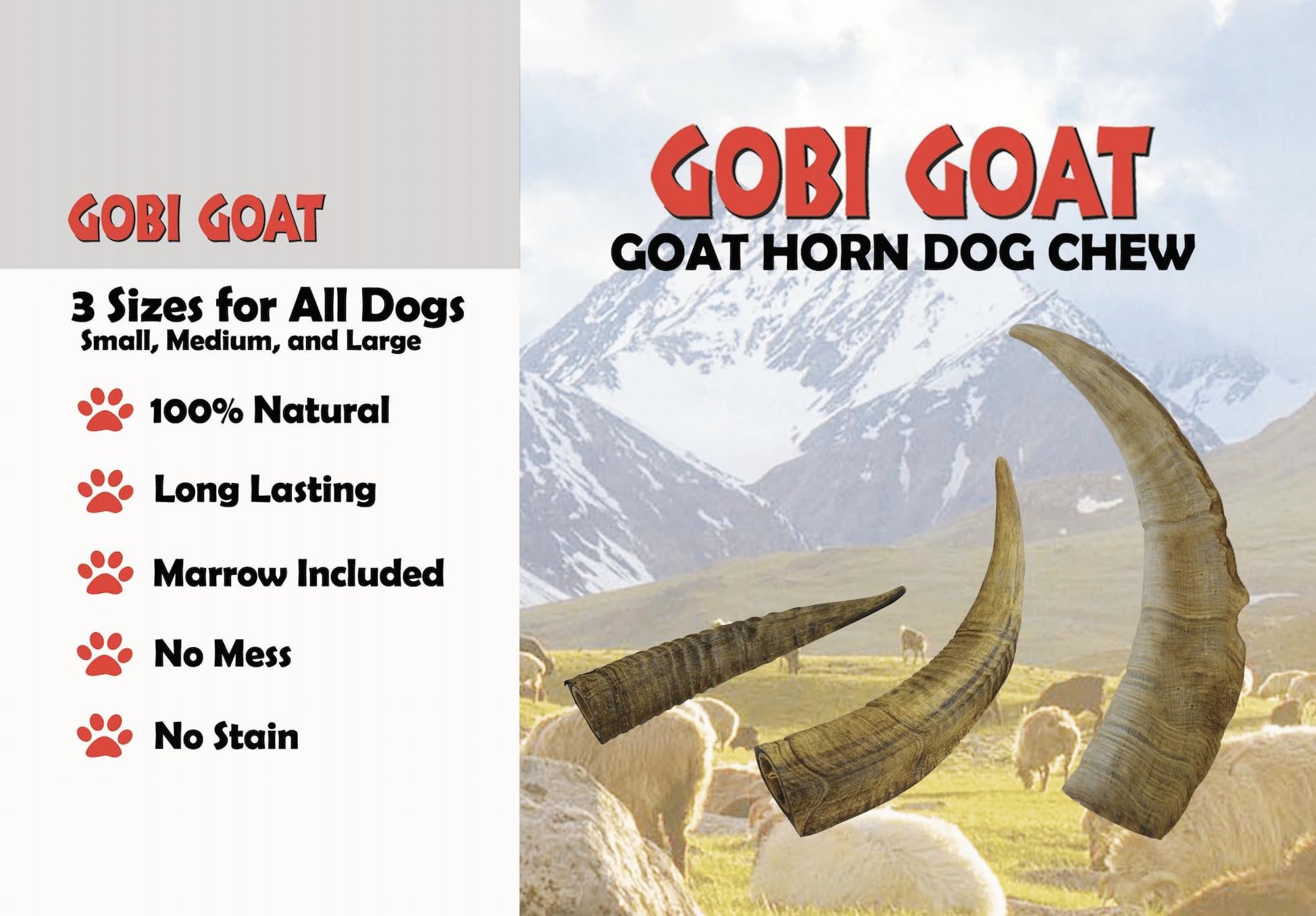 QT Dog Gobi Goat Horns small pack assembled shows mess-free chew for busy households