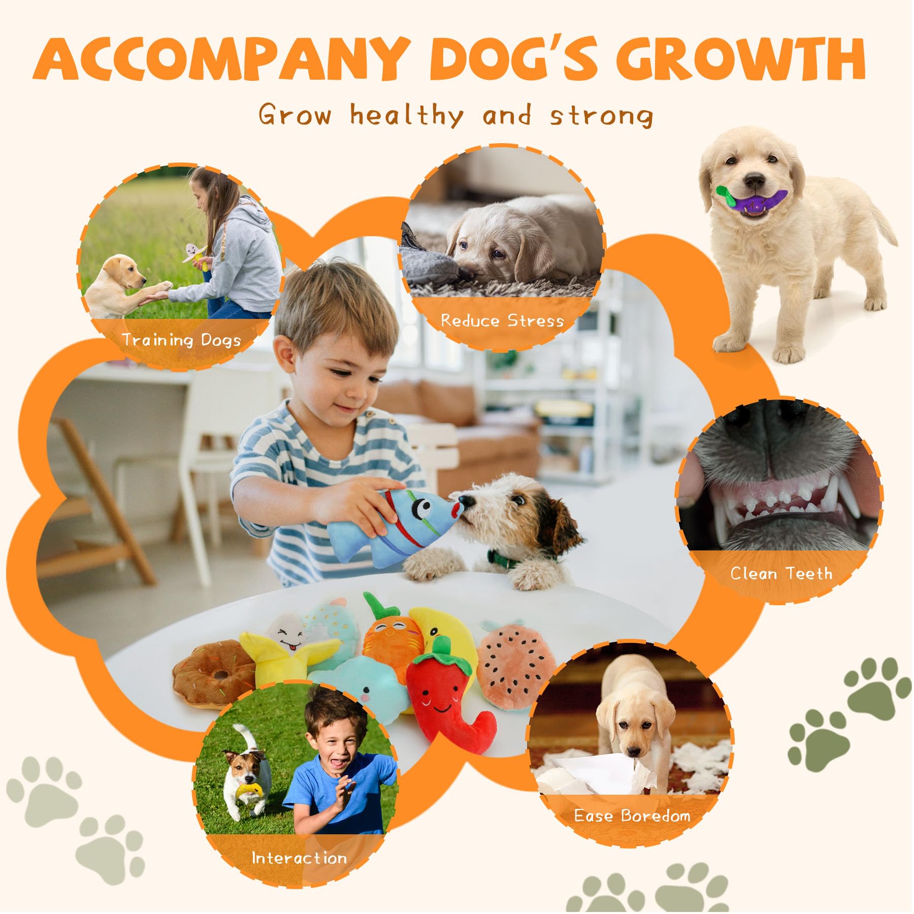 QTwoof colorful small-dog toys aid teething relief and mood