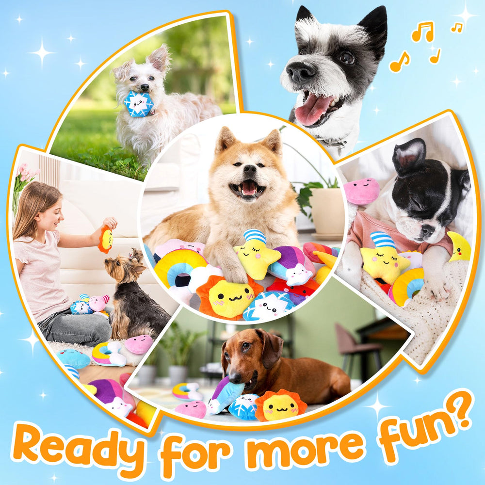 QTwoof weather-dog-bags provide convenient carry storage for toys during outings.